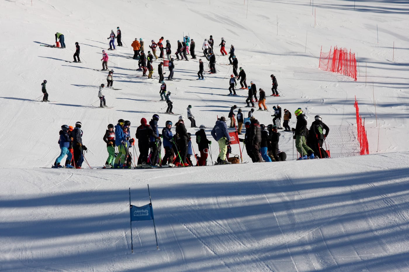 The start area on race morning, dozens of racers from across the league spread across the groomed pitch above the first gate